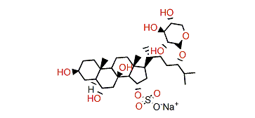 Coscinasteroside B